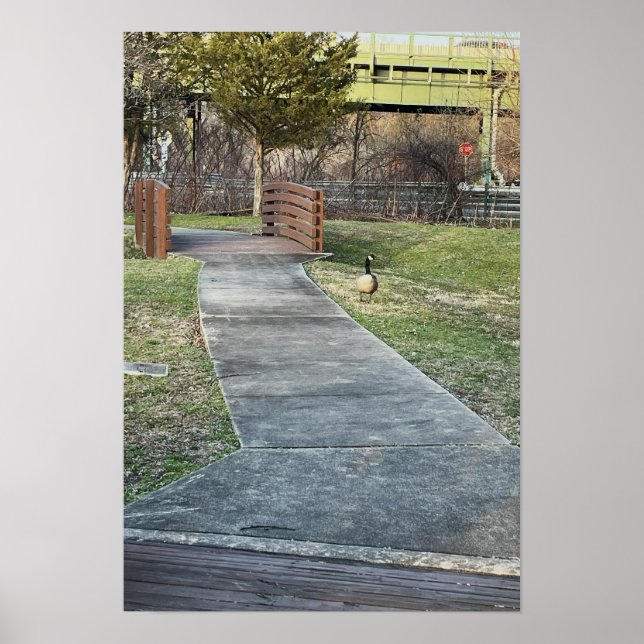 Walking Bridge Poster (Front)