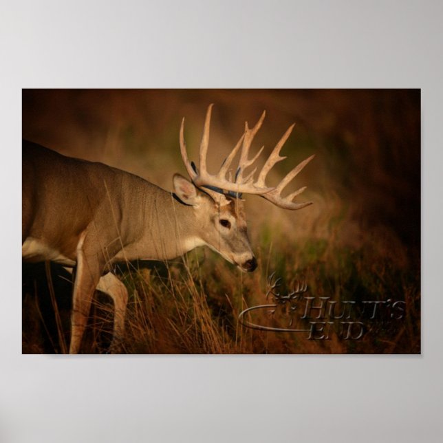 Walking Buck Poster (Front)