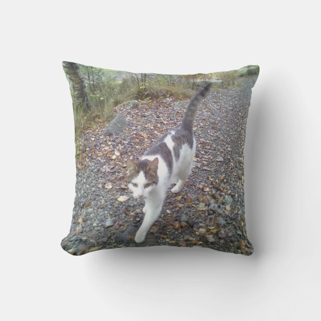 Walking Cat Throw Pillow (Front)