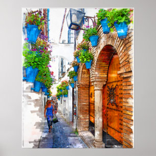 Walking Cordoba's Alley -Spain  Poster
