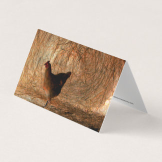 "Walking" - Digitally Enhanced Photo Chicken & Hay