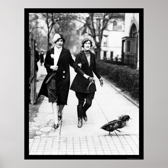 Walking Ducks in Washington, DC 1926 Poster (Front)