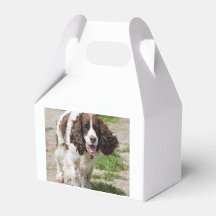 walking english springer spaniel.png favor box