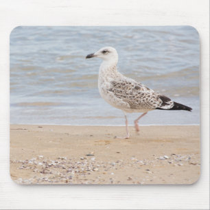 Walking gull mouse pad