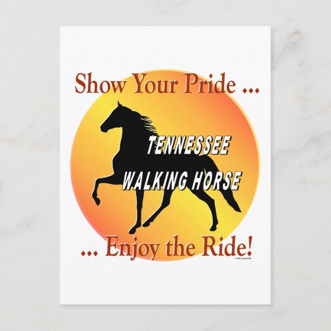 Walking Horse Pride Postcard (Front)