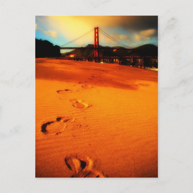 Walking in Crissy Field Postcard (Front)