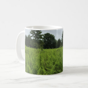 Walking in the Forest, Chester, South Carolina Can Coffee Mug