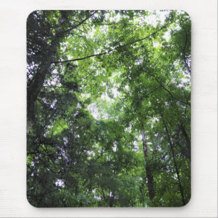 Walking in the Forest, Chester, South Carolina Can Mouse Pad