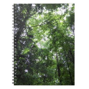Walking in the Forest, Chester, South Carolina Can Notebook