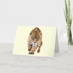 Walking Jaguar Eyes Card