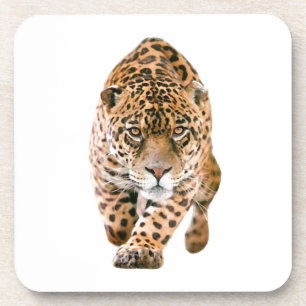 Walking Jaguar Eyes Coaster