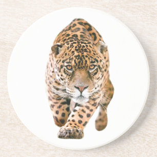 Walking Jaguar Eyes Coaster