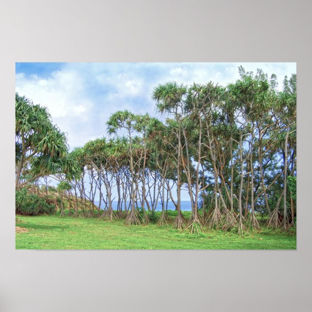 Walking Palm Trees in Hawaii Poster (Front)