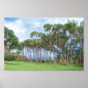 Walking Palm Trees in Hawaii Poster