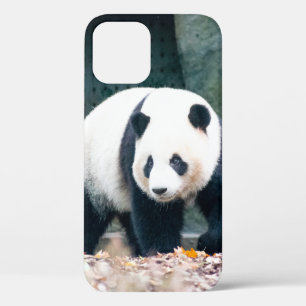 WALKING PANDA FRONT OF CONCRETE BUILDING iPhone 12 CASE