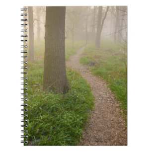 Walking path leading into a forest notebook