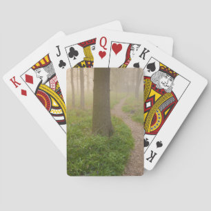 Walking path leading into a forest playing cards