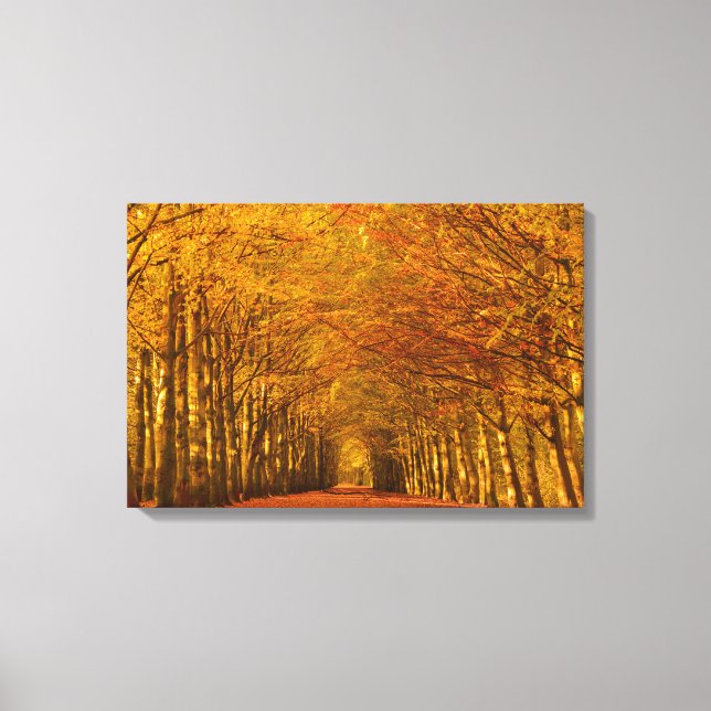 Walking path through autumn forest canvas print (Front)