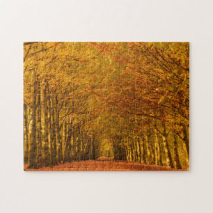 Walking path through the forest in autumn jigsaw puzzle
