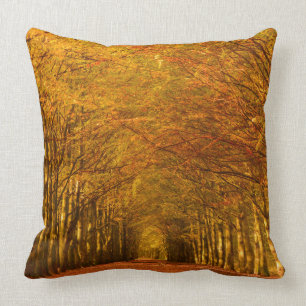 Walking path through the forest in autumn pillow