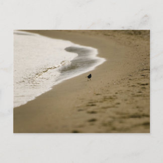 Walking Postcard