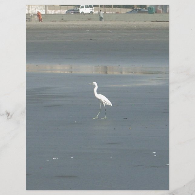 Walking solo.JPG (Front)