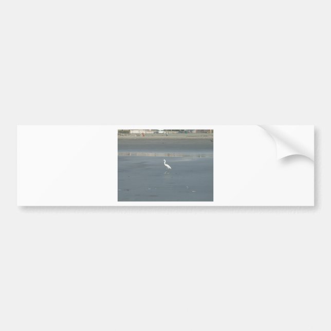 Walking solo.JPG Bumper Sticker (Front)