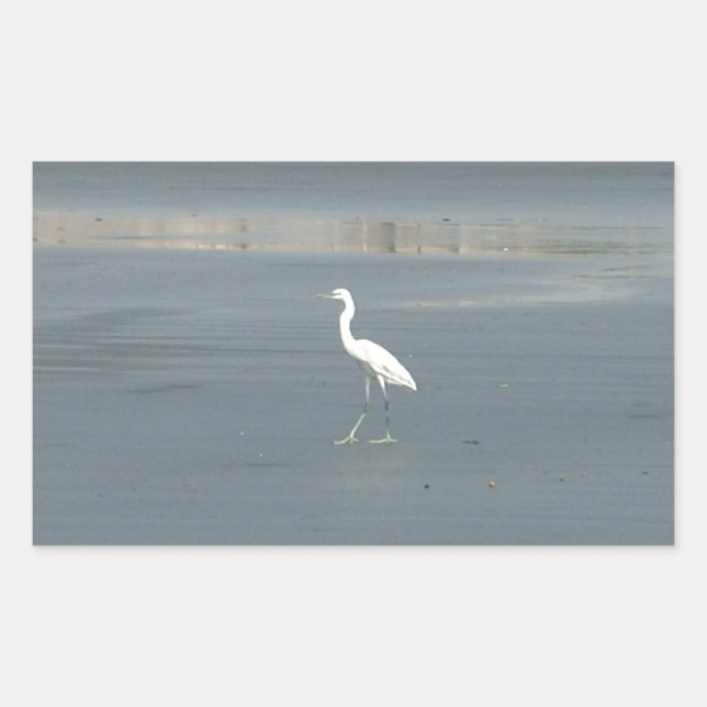 Walking solo.JPG Sticker (Front)