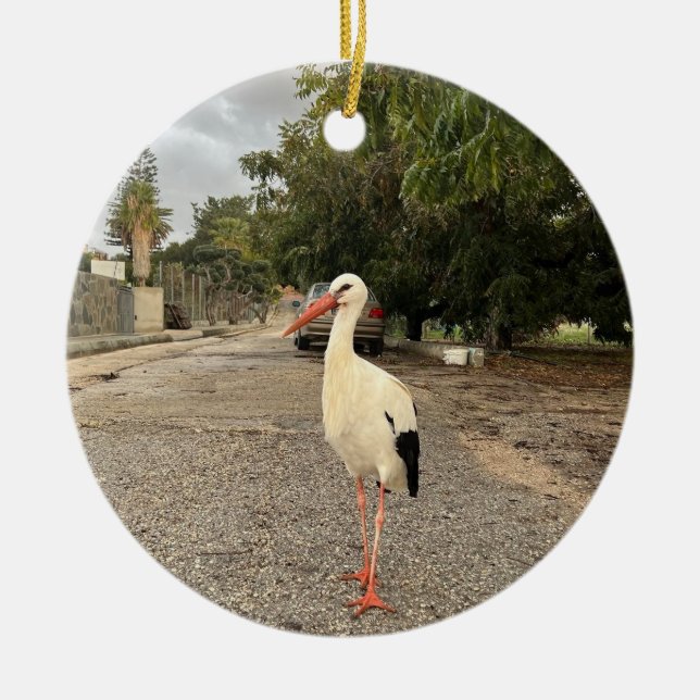 Walking Stork Ornament (Front)