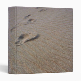 Walking the Beach Binder