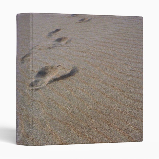 Walking the Beach Binder (Front/Spine)