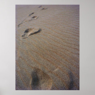 Walking the Beach Poster