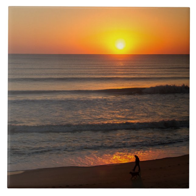 Walking The Dog OBX Tile (Front)