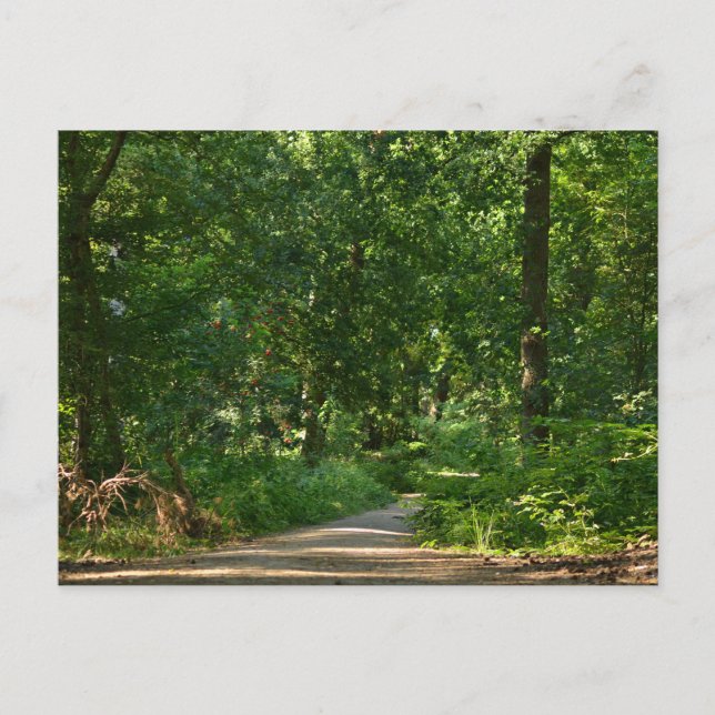 Walking through the trees postcard (Front)