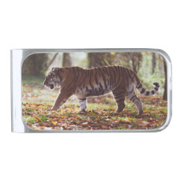 Walking Tiger Money Clip Silver Finish Money Clip