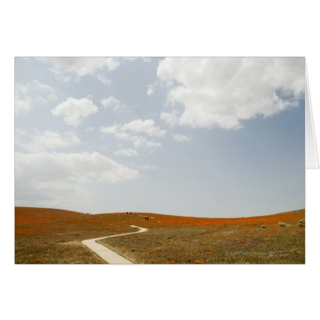 Walking Trail (Front Horizontal)