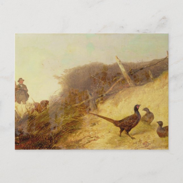 Walking up Pheasants on the 1st of October (see al Postcard (Front)