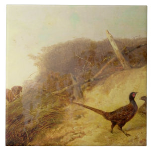 Walking up Pheasants on the 1st of October (see al Tile