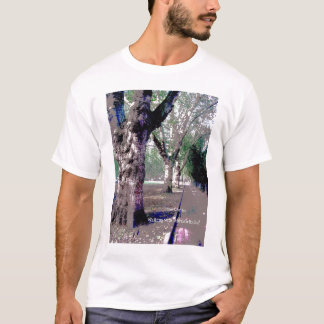 Walking with Abraham-Hicks! T-Shirt