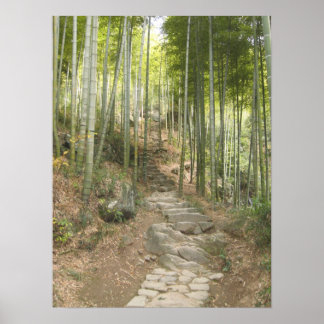 Walking with Bamboo Poster
