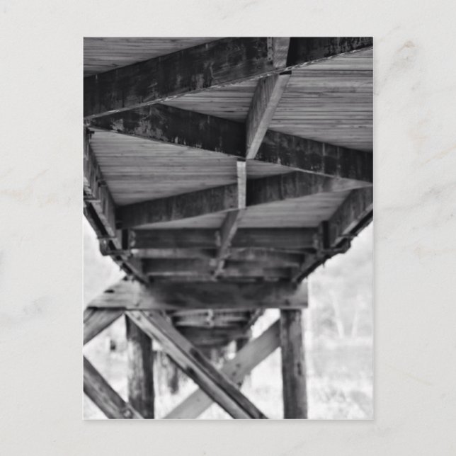 WalkWay1 Postcard (Front)