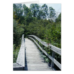 "Walkway, Green Mountain National Forest"