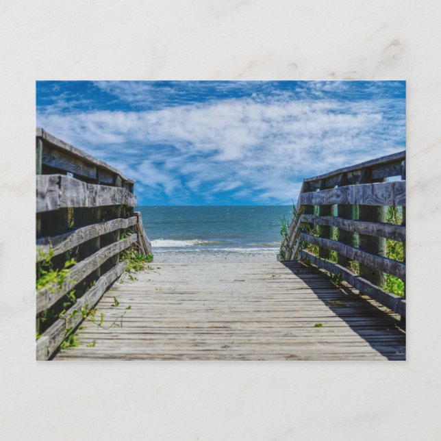 Walkway To Paradise Postcard (Front)