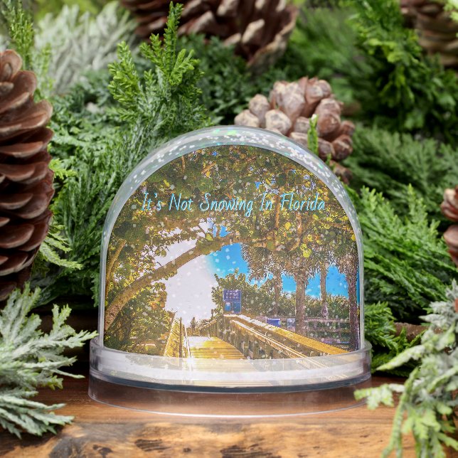 Walkway to the Beach Snow Globe (Winter)