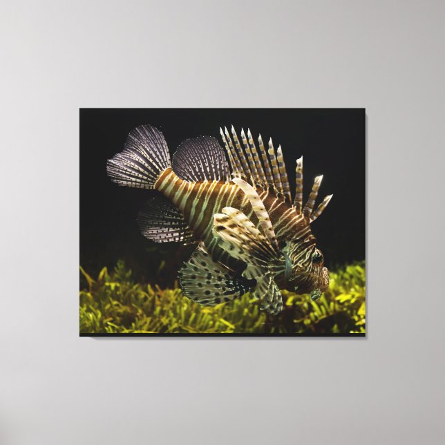 Wall Art (Front)