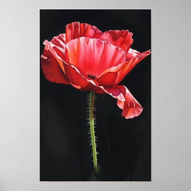 Wall art. Flower in the blackness Poster (Front)