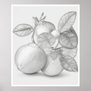 Wall Art fruit poster
