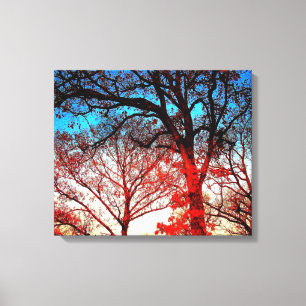 Wall Art Oak Trees in Winter  Canvas Photo Print