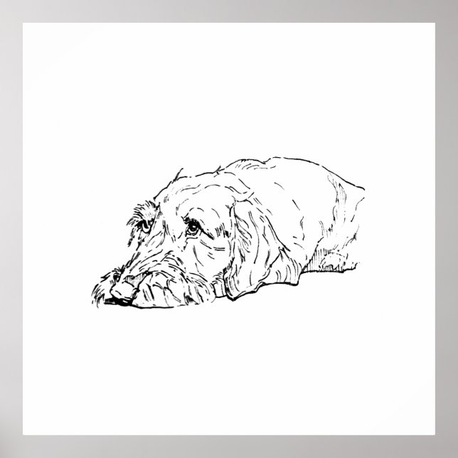 Wall Art, Wire Haired Dachshund - Cute  Poster (Front)