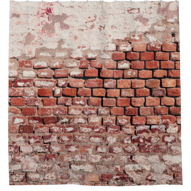 Wall brick brick wall (Front)